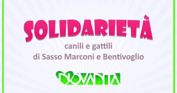 Solidarietà Canili e Gattili